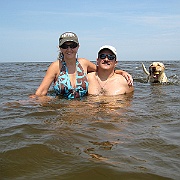 Picture 184